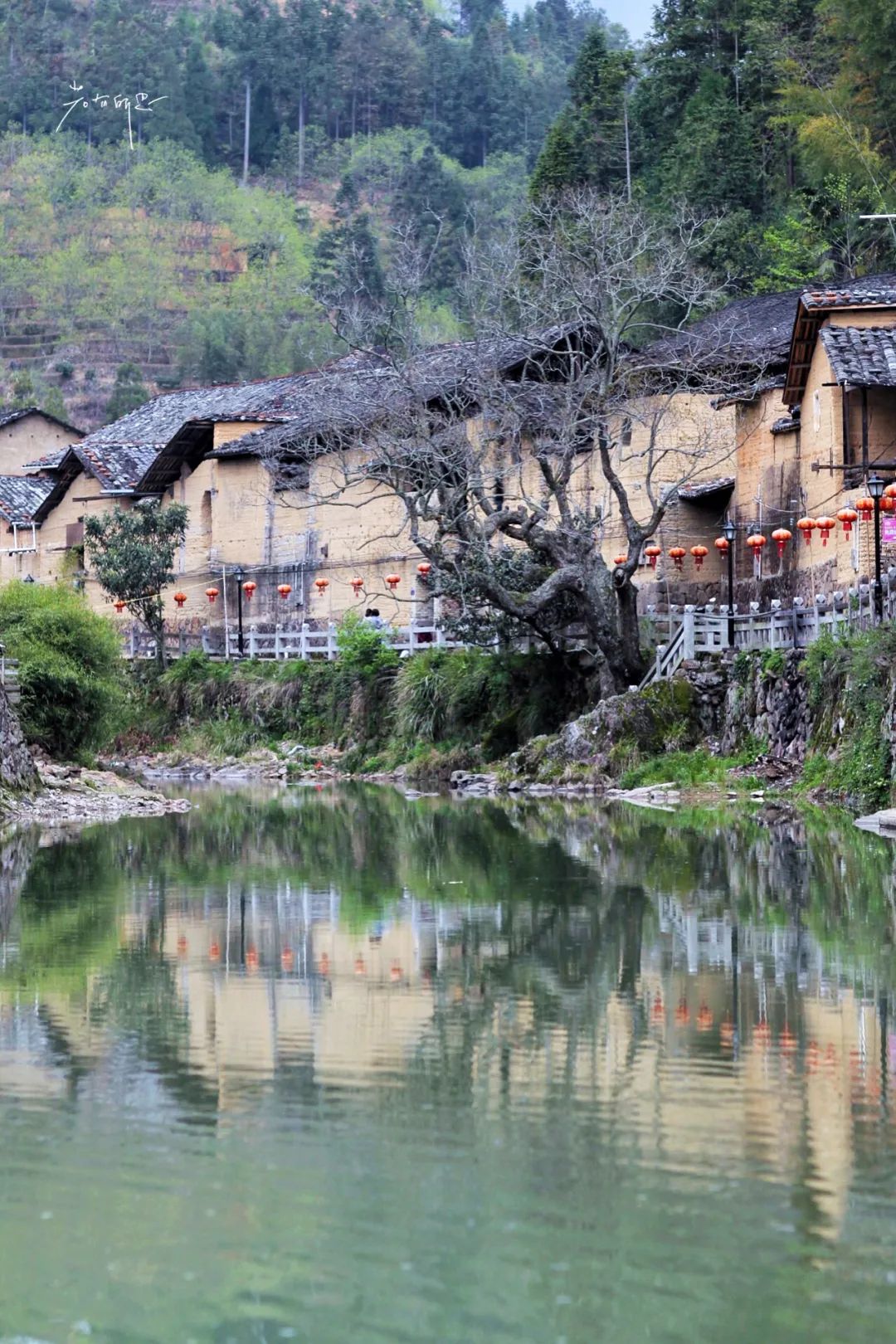 两个藏在深山的福建古村落，一个从没有蚊子，一个有最古老的木桥