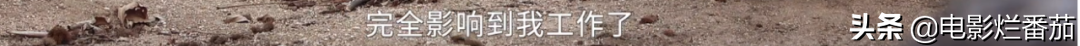 从豆瓣女神到炫富名媛，她只用了12年，终因一句“恶口”引发众怒