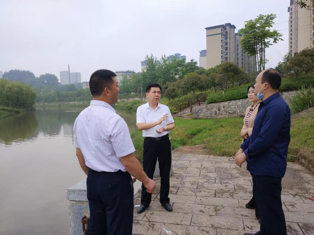 熊安台调研太平溪水域环境综合治理进展情况