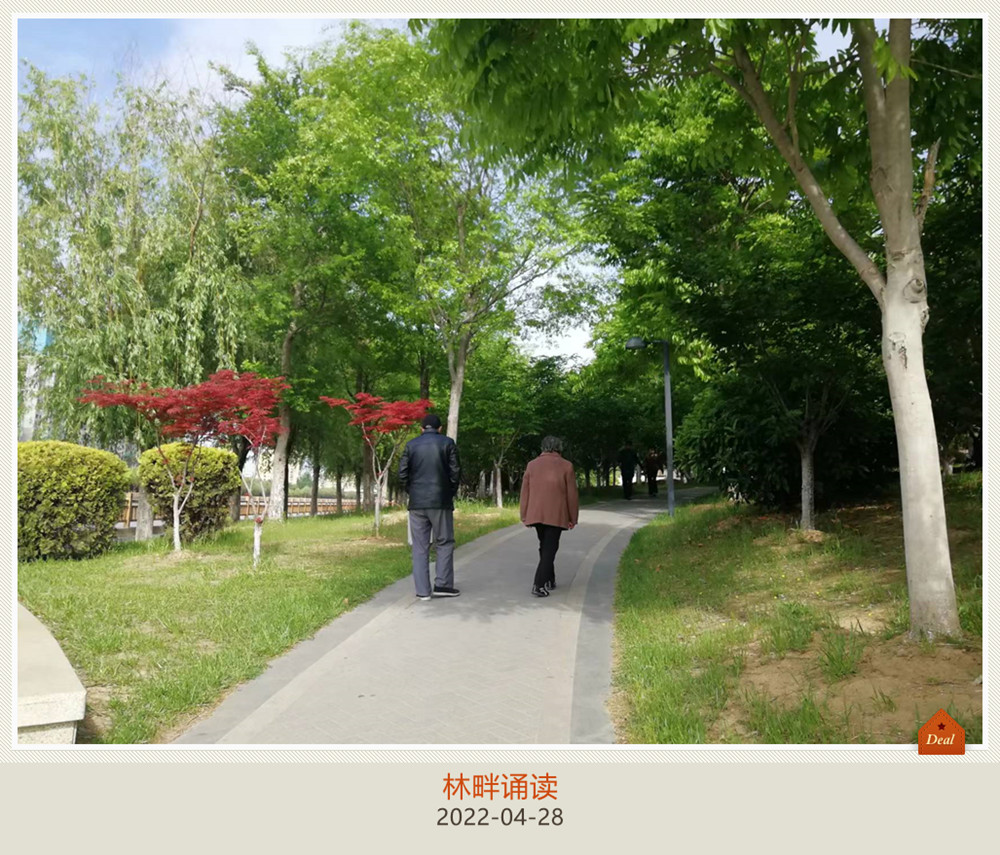 心酸！对留守的年迈老人，远行的游子当常思、常念、常联