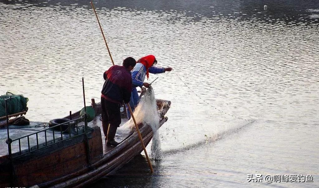 水怪事件(200万尾鱼离奇消失！真的有“水怪”存在？钓鱼人、渔民参与破迷)