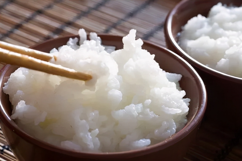 狗能吃花生吗（介绍哪些主食可以给狗子吃）
