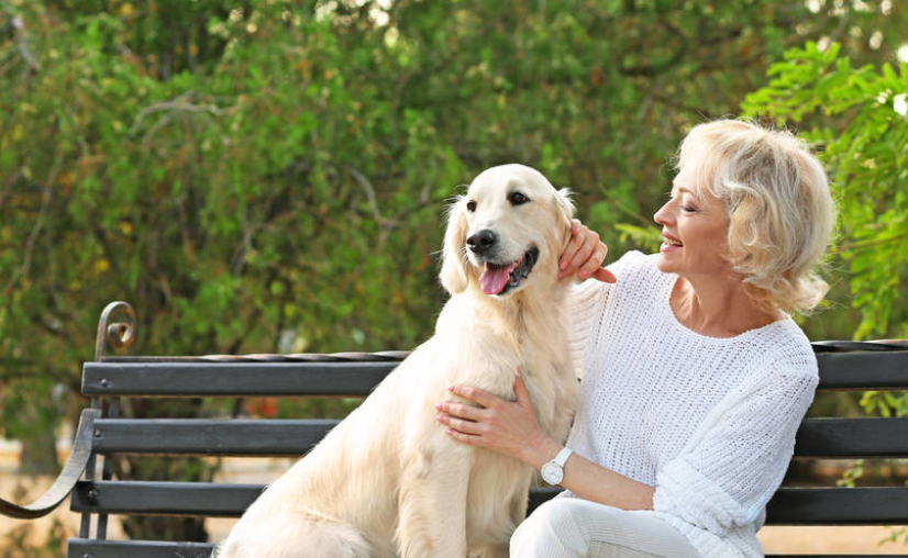 狗狗几岁才算是老年犬？进入老年期的狗狗有什么身体变化？