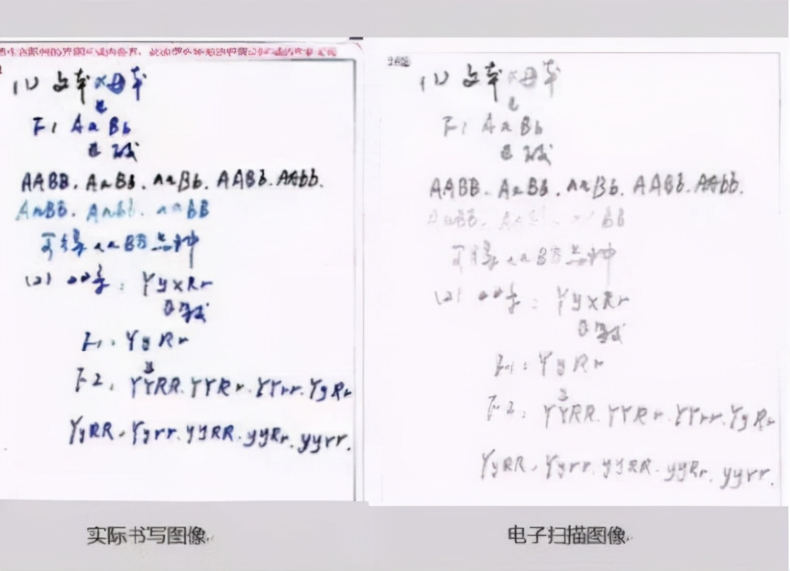 为什么高考要用“2B铅笔”涂卡？看到电脑阅卷的样子，就明白了