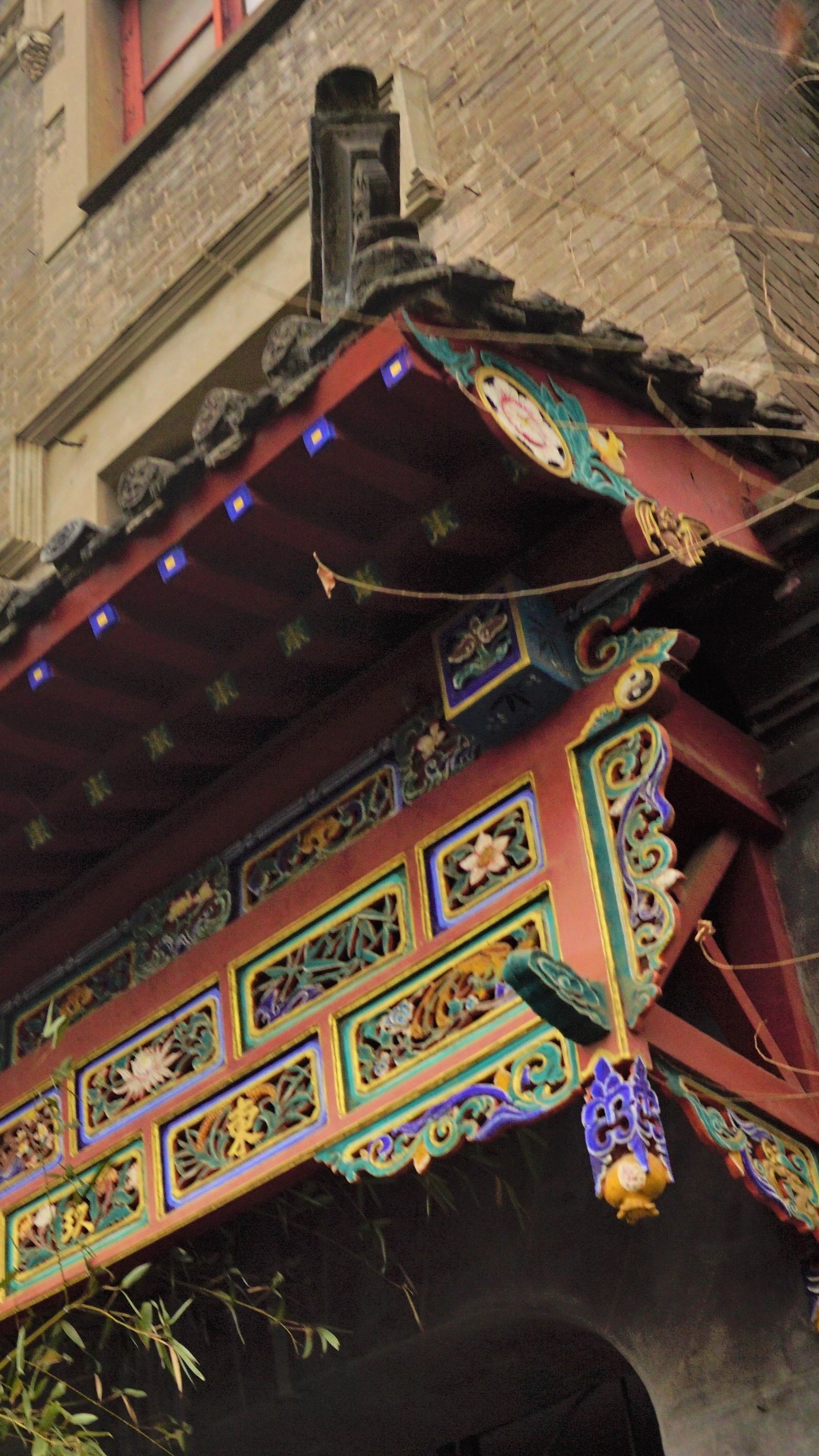 河南大学是我见过的比学生还努力的中国高校