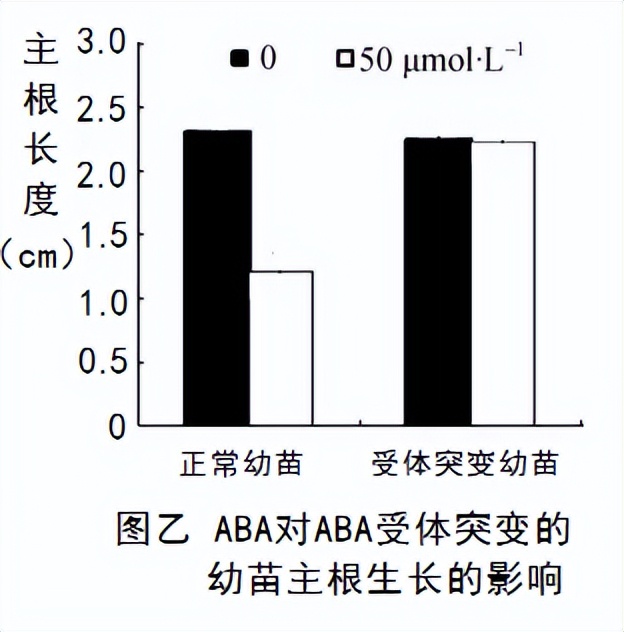 青鲜素相当于什么植物激素（青鲜素相当于什么植物激素类）-第11张图片-昕阳网