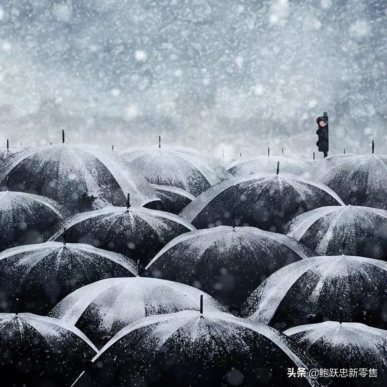 为什么“社区团购”做不下去了？