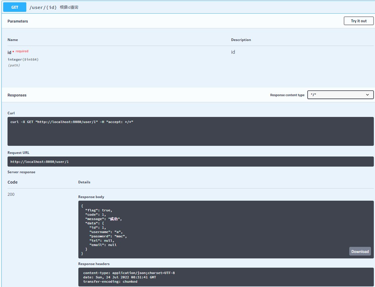 Swagger2 在线接口文档及文档下载