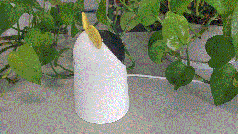 618好物推荐：年轻人第一款4K高清智能摄像头