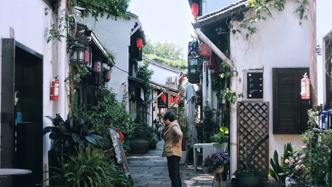 3块钱,带你坐船游遍杭州