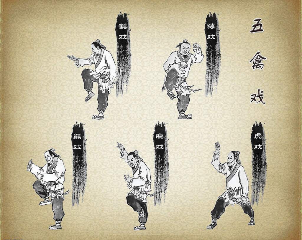 杭州亚运会男子体操项目（2022年第19届杭州亚运会比赛项目介绍之竞技体操）