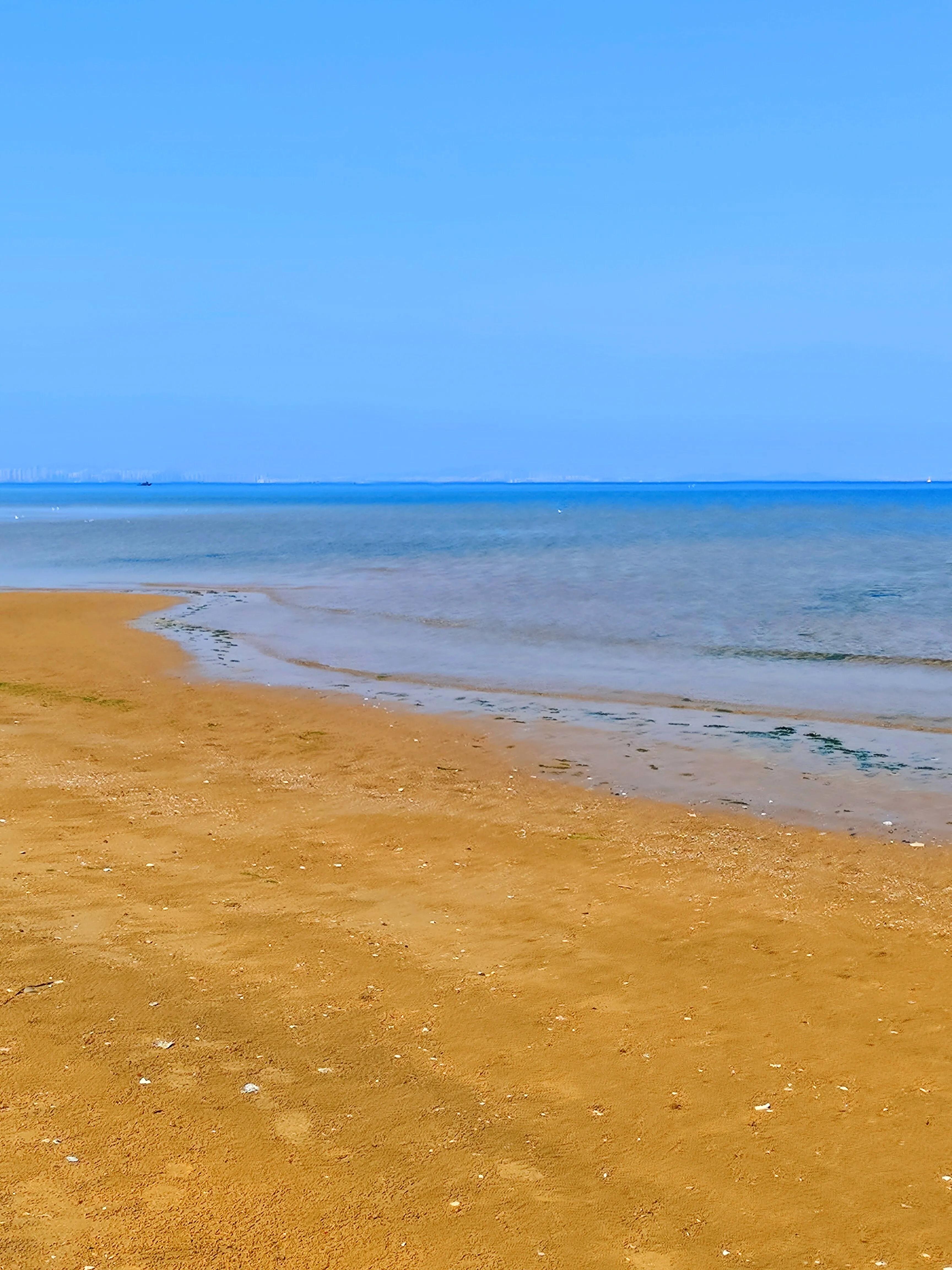 水天一色间，问一声那海鸥