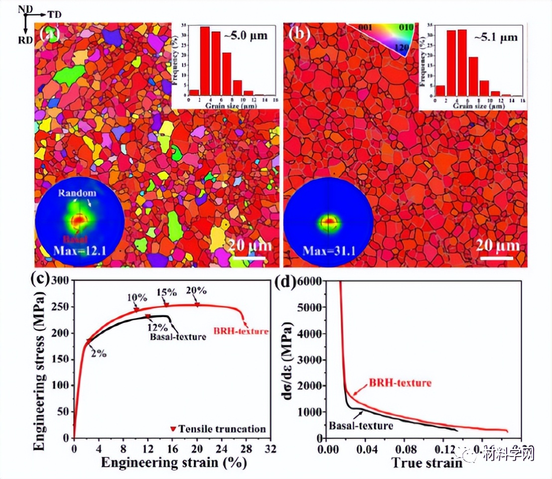 吉大王慧远教授团队：强韧性镁合金设计和微观结构控制策略