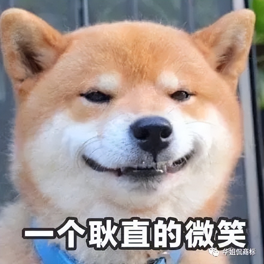 怪了，都是“懂卿”，命运却各不相同