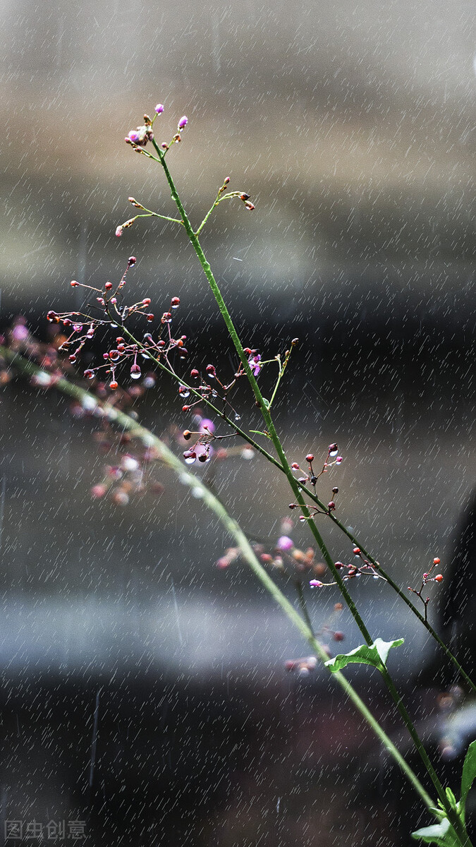 唯美意境风景带句子壁纸