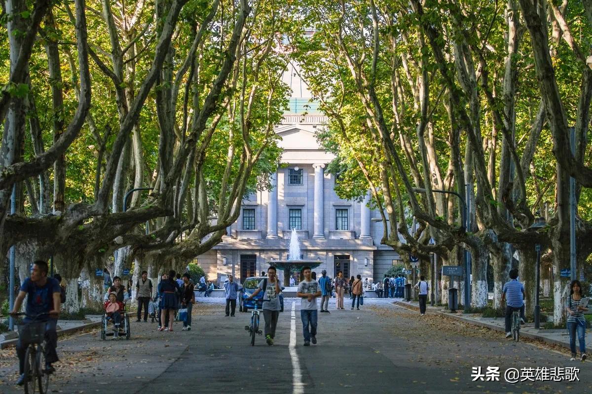 东南大学与同济大学,谁的实力更强一些?考生该如何选择?