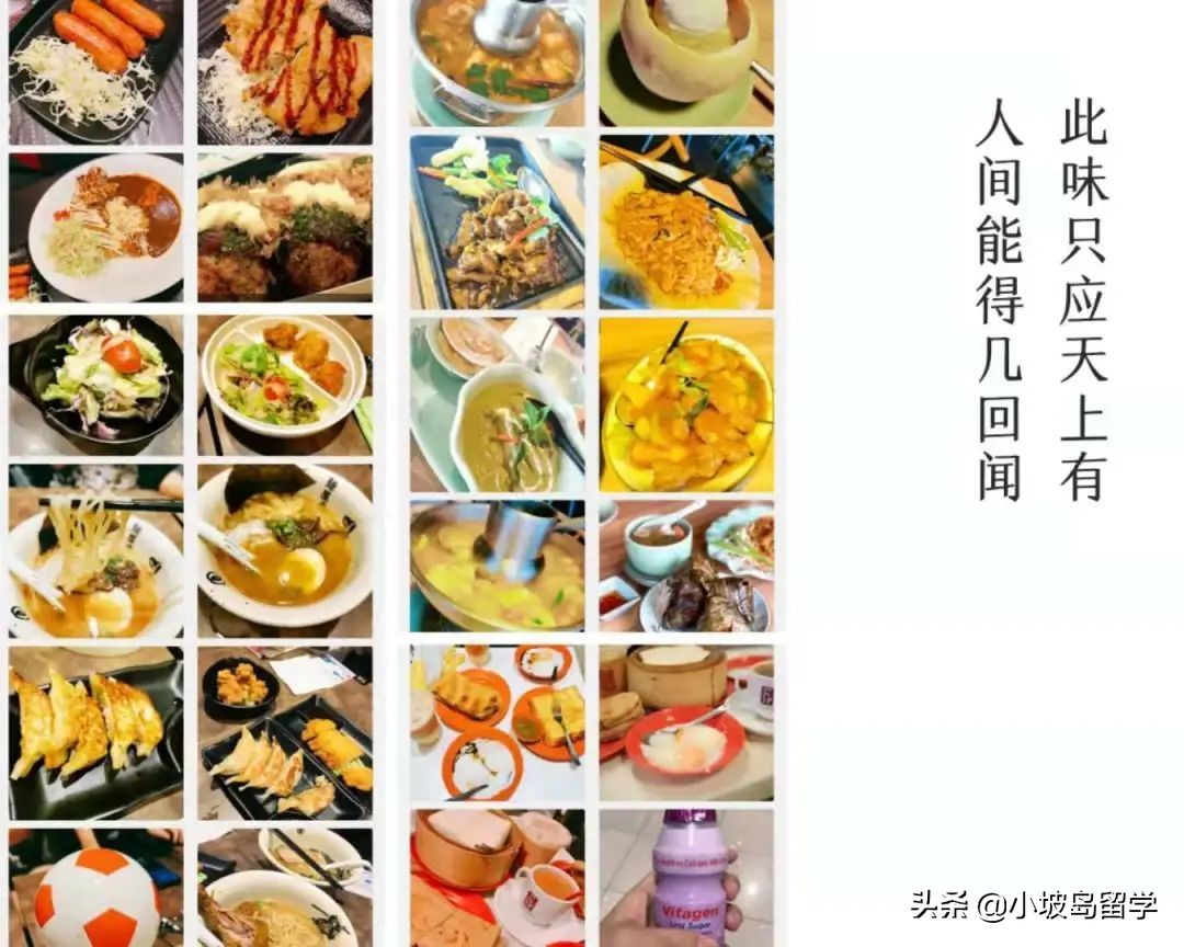 新加坡留学一年究竟要花多少钱？