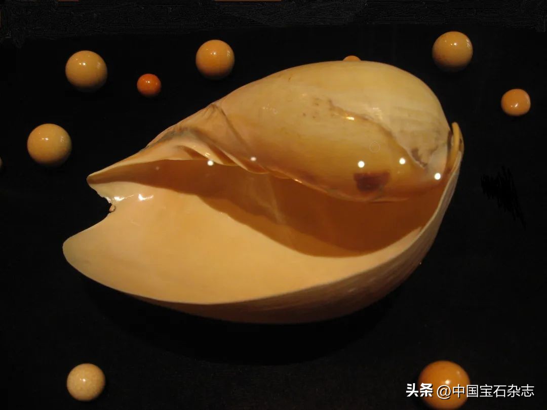 古代珍珠面面观：“明珠”“真珠”“珍珠”的名称流变