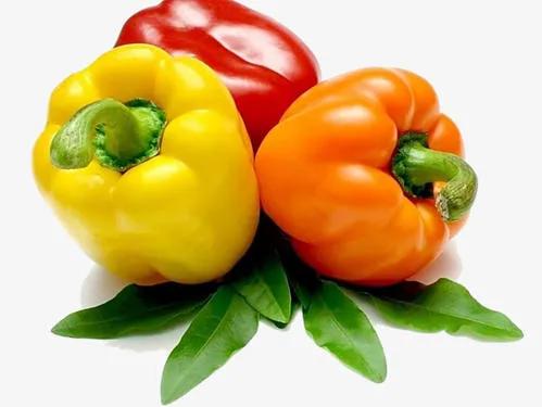 全国蔬菜在西安的批发价格区间