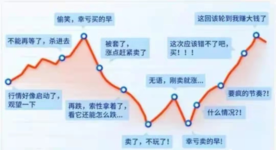 复盘丨2022年基金亏损11%，我该怎么办？
