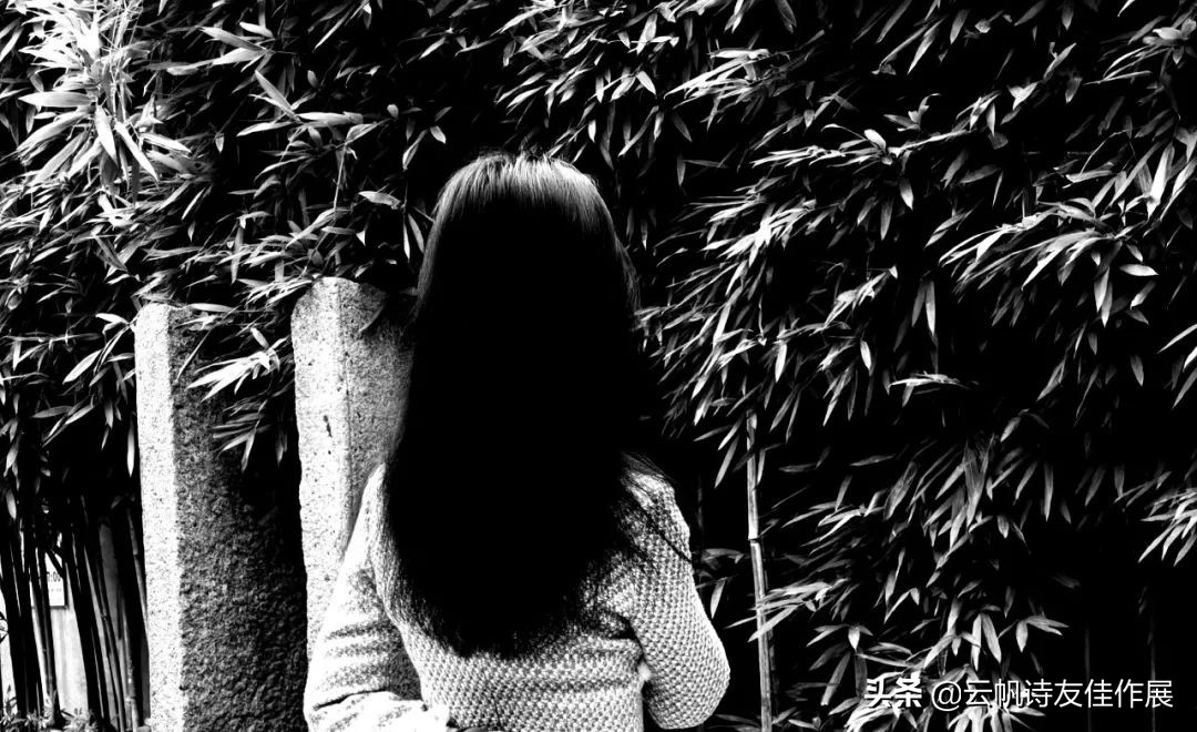 「特别推荐」林丫头：《侧身集》辛丑存稿