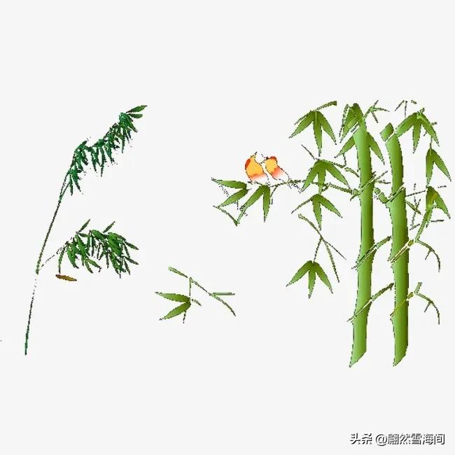 描写竹的诗有哪些短的（描写竹的诗有哪些）