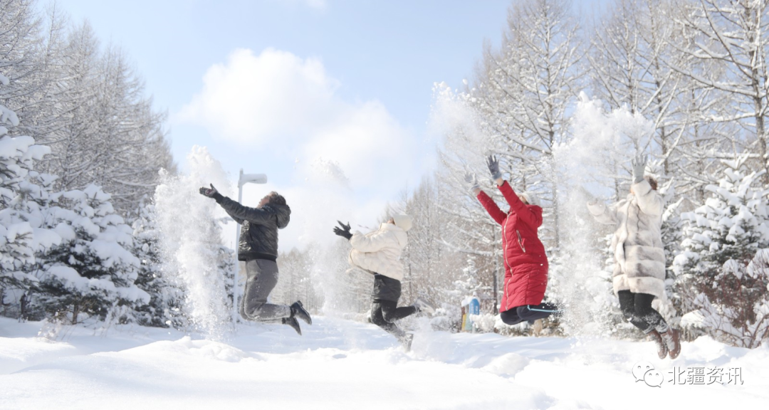 美图！三月春雪添诗意 玉树琼瑶美“出圈”