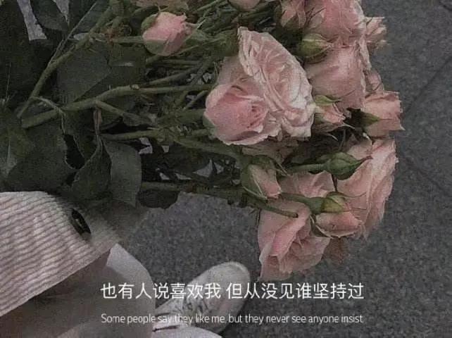 又丧又温柔的人生感悟文案