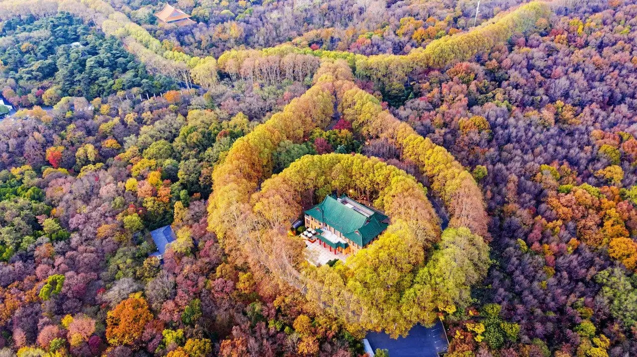 南京十大网红景点，景美独特好玩