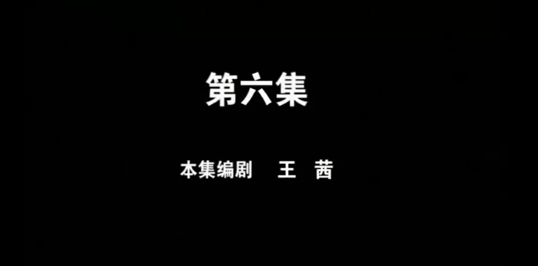 重案六组4里(当年的《重案六组》，整容、吸毒、入狱、病逝)