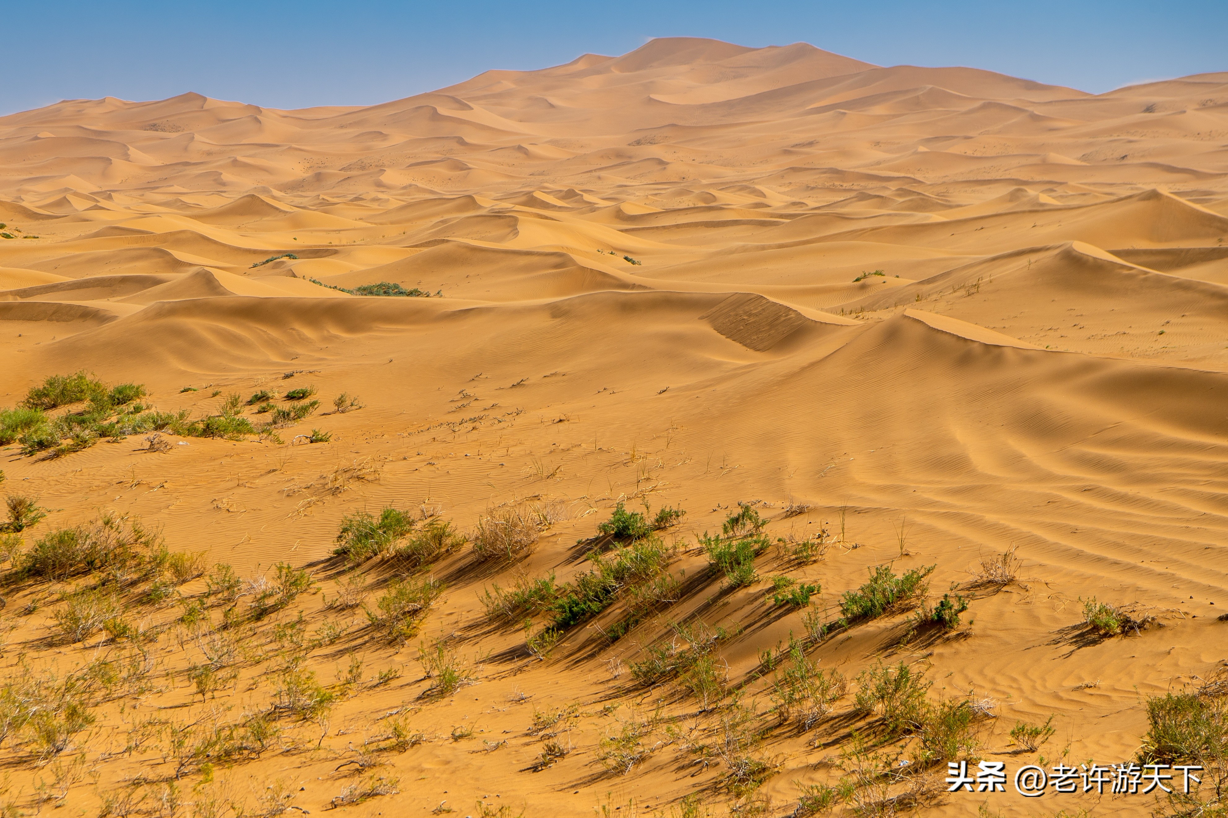 美丽的世界(世界上10处最美沙漠，作者亲历后强力推荐，看看你喜欢哪一个)