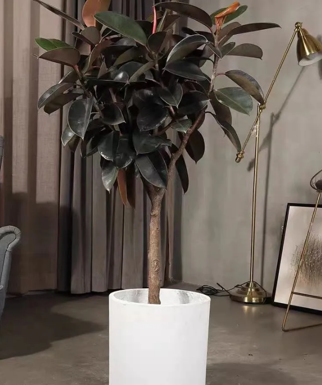 绿色环保施工方案便宜117