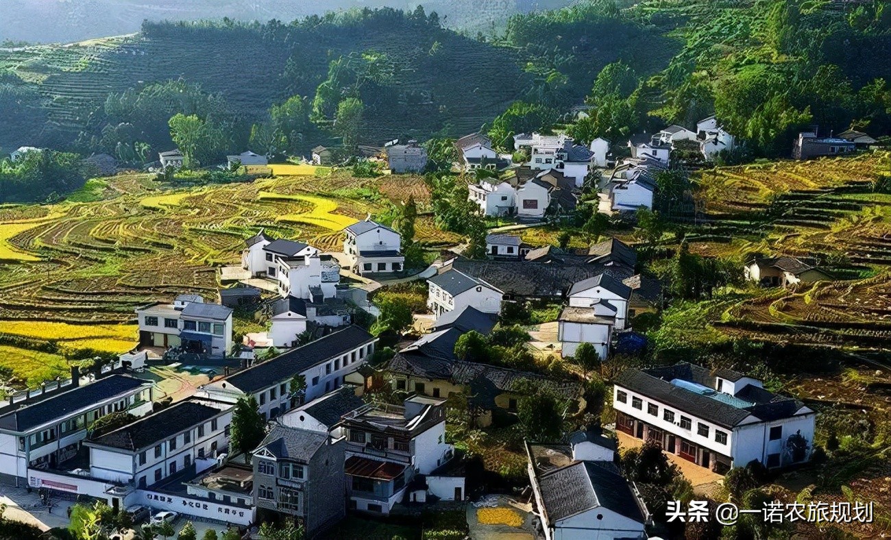 国务院“智囊”：八大问题不解决，乡村振兴无从谈起