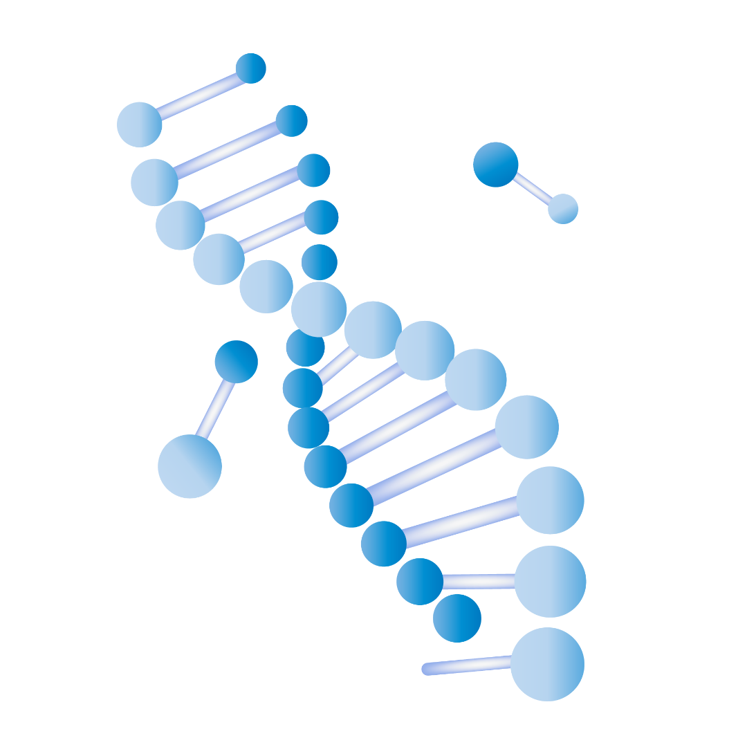 湖南师范大学树达学院师资力量_湖南师范大学树达院_湖南师范树达学院