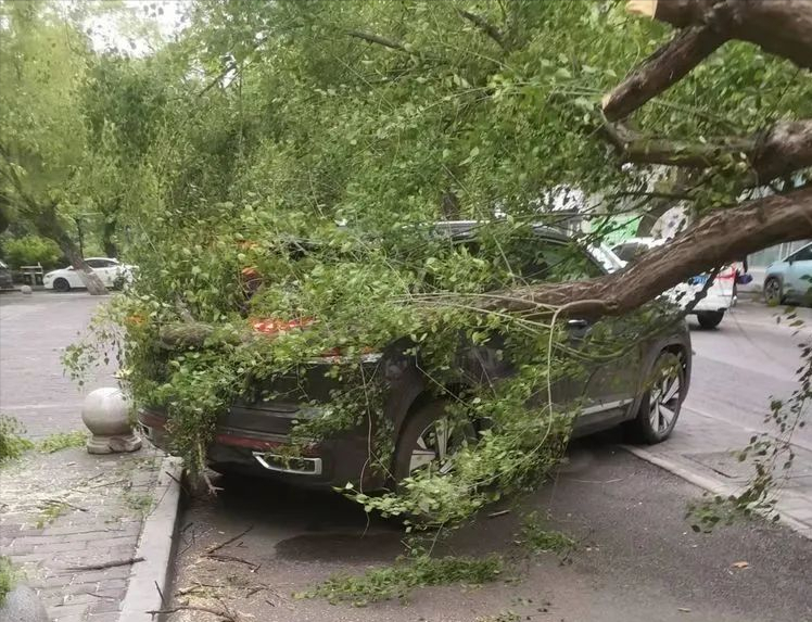 ������԰���̻��ӿ�������·�ϵ�����ľ ���ϵ�·��ȫ