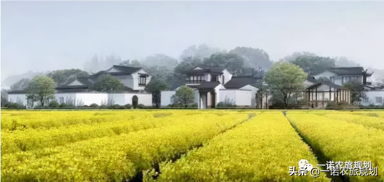 国务院“智囊”：八大问题不解决，乡村振兴无从谈起