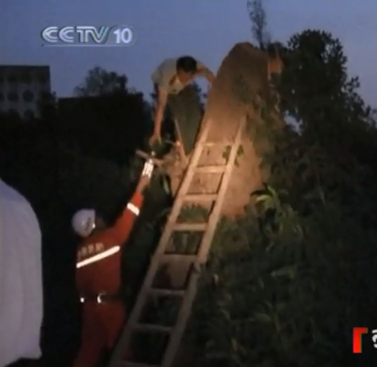 2009年，重庆百年老树里传出哀嚎声，大妈吓得报警：古树里有个人