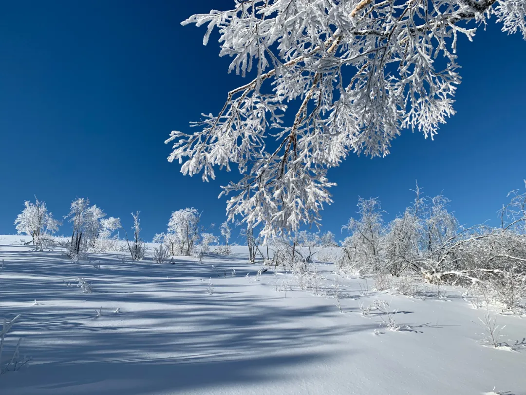 登高眺远景秘境身心愉冬日，来一场任性的雪山游