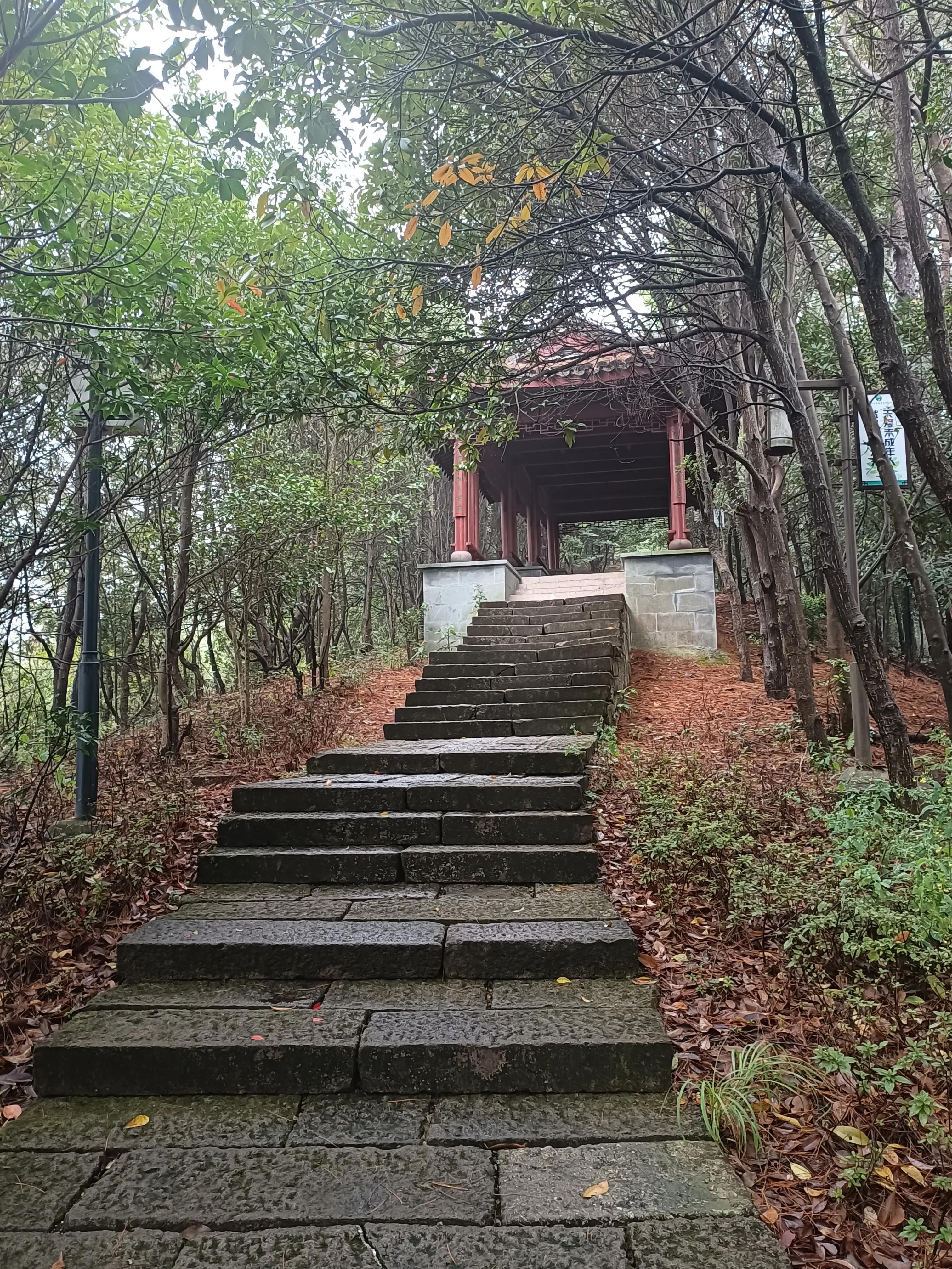 行到水穷处，坐看云起时一一雨游白云山