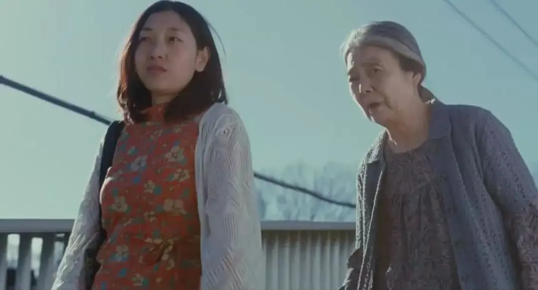 小偷家族：无血缘关系的一家六口，靠偷维持生活，内容温情又肮脏