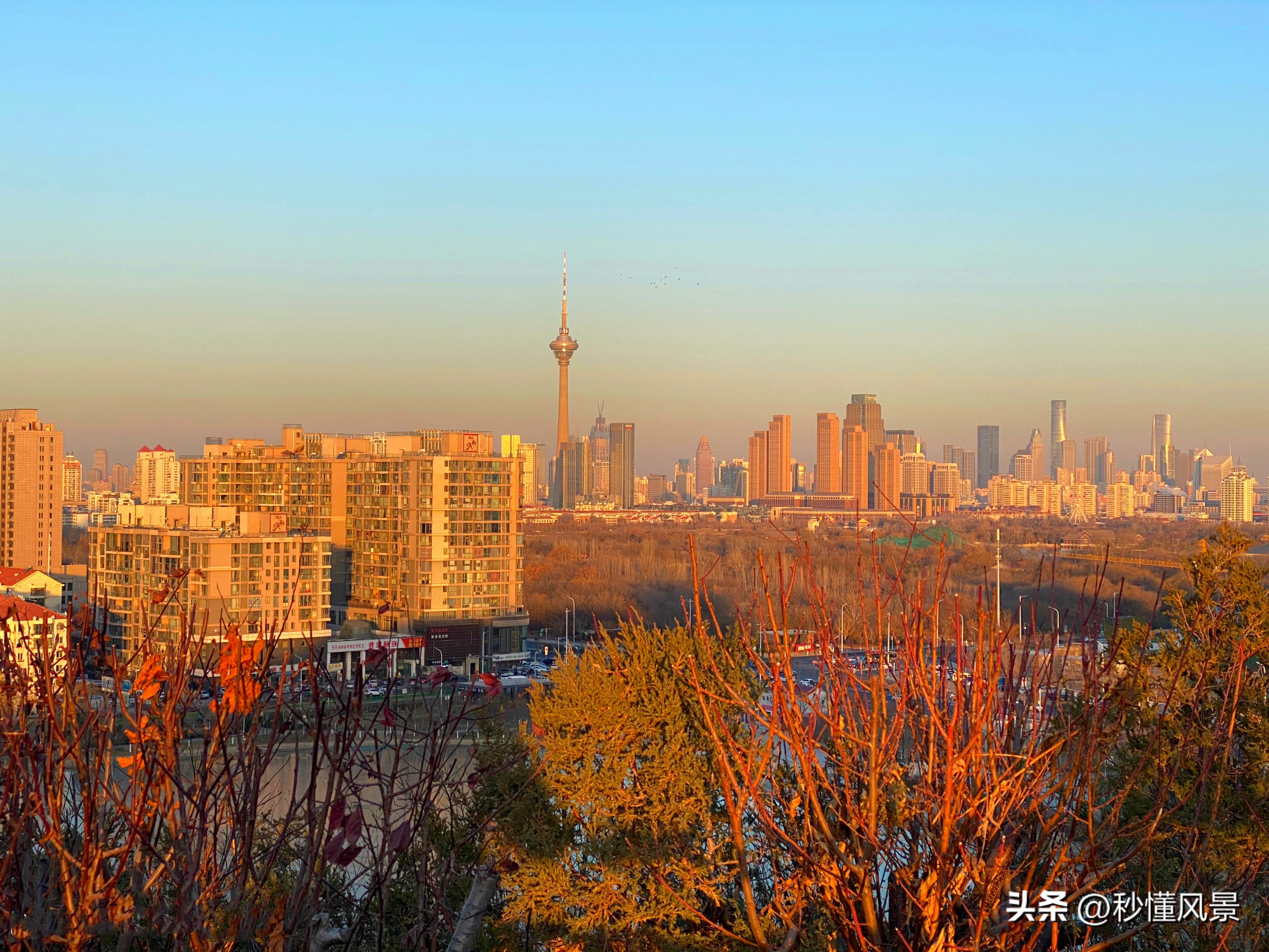 在哪可看天津(天津市区最高峰，山上已经秋意渐浓，不要门票适合溜娃拍照赏秋)