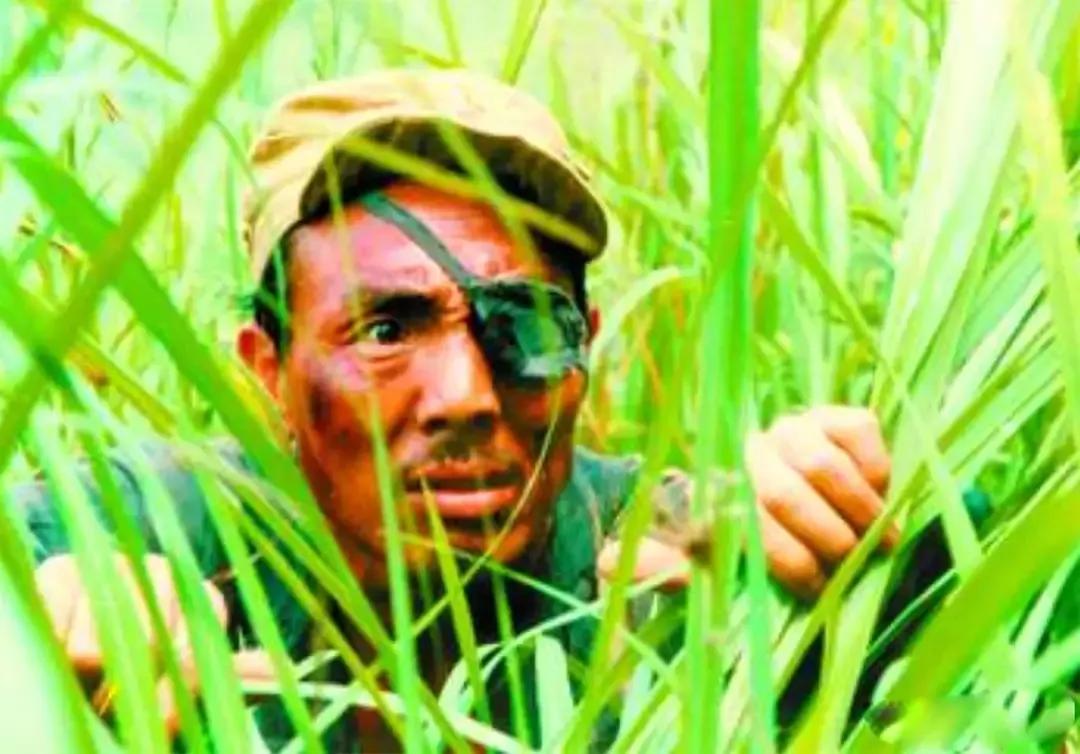 乌龙山剿匪记演员现状，何山刚去世，田秀姑成作家，四丫头离婚