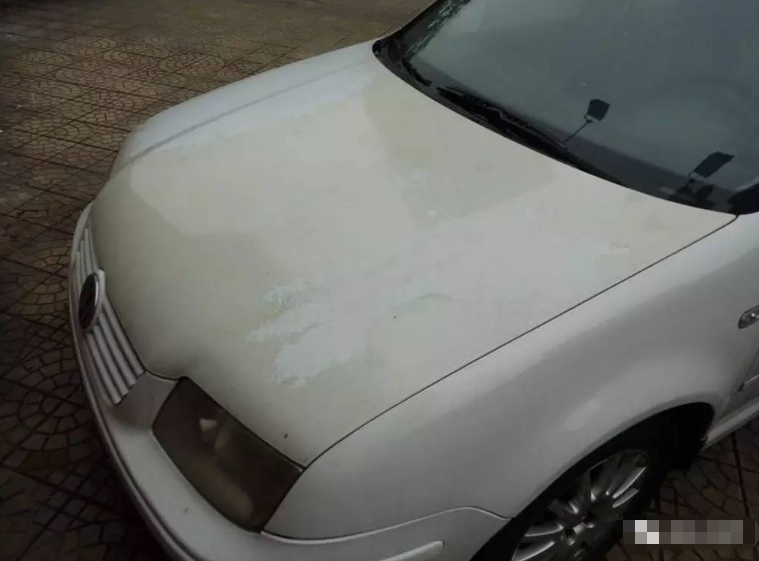 買車時，車身顏色隨便選？汽車銷售說出秘訣，買車不會出錯