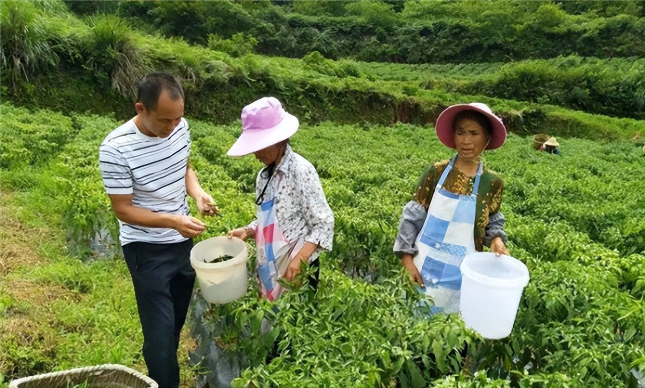 四川深山野人出没，人身熊样全身是毛，还跑下山要求上户口