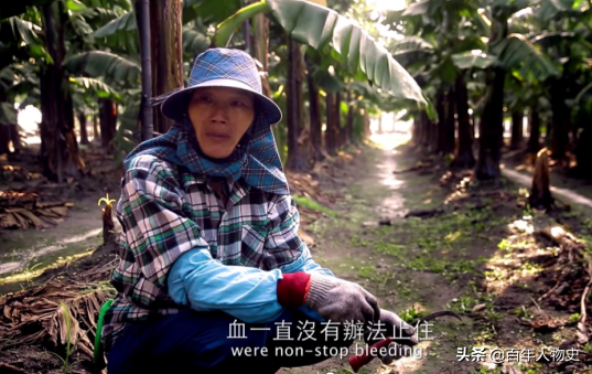 因性别遭受霸凌，15岁生命倒在厕所血泊，“玫瑰少年”不止他一个