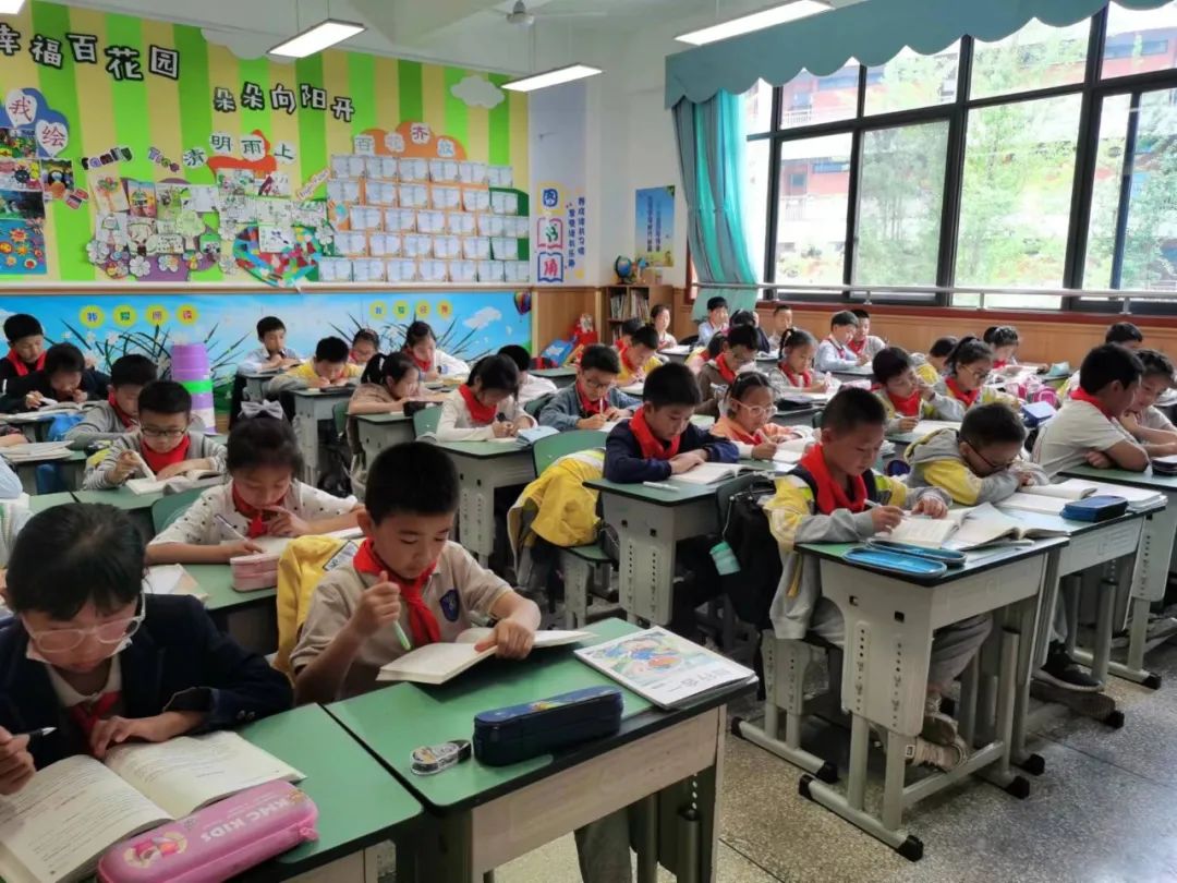 兰花喜阅读 书香润童年｜走进实验小学外国语学校书香班级3.1班