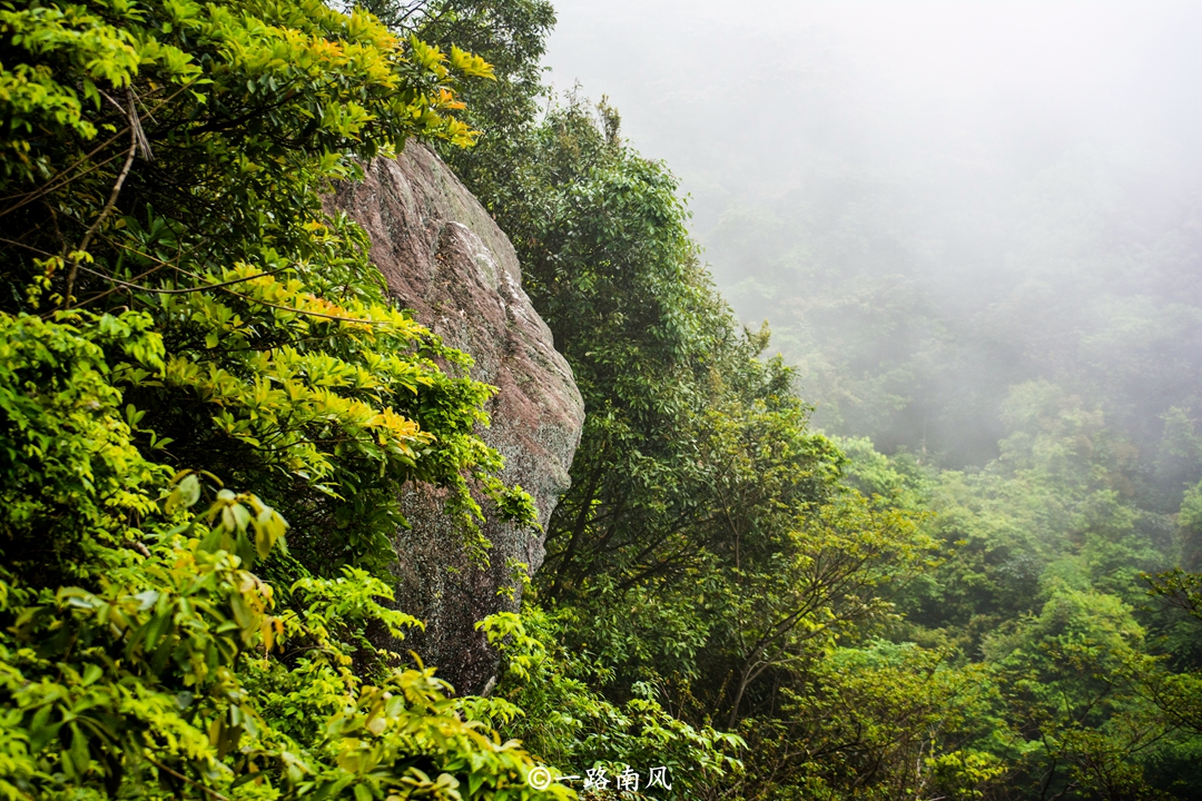 桂峰山在哪（被誉为后花园的广州郊区桂峰山）