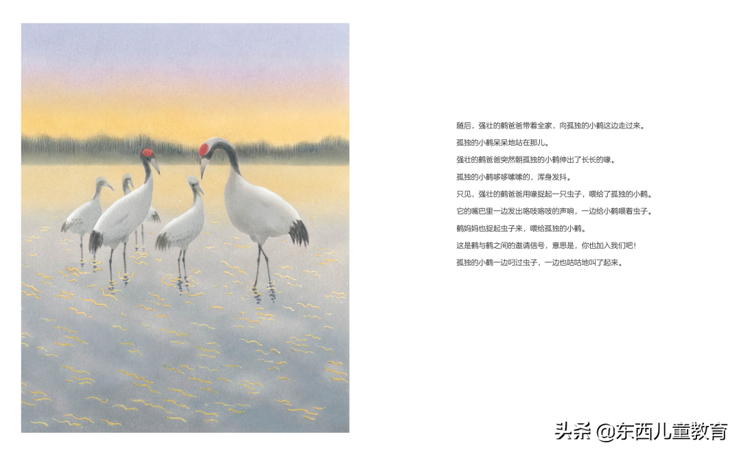 今年圣诞礼物，我没花多少钱，但娃看到一定会尖叫