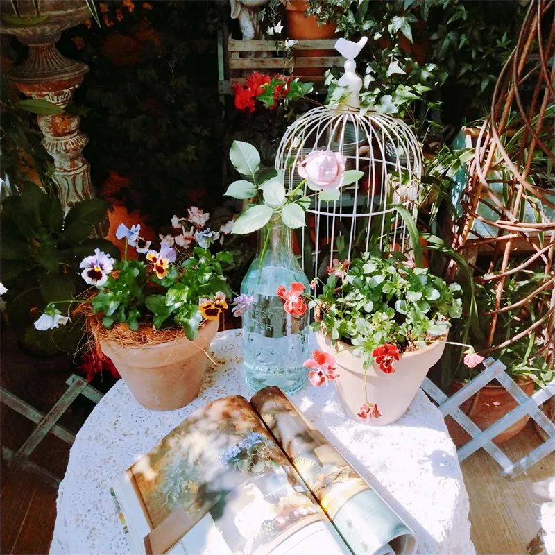 阳台花园，在这个面积不大的地方造梦，美了岁月，醉了时光