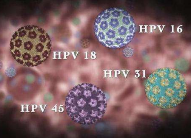 不要盲目等待“九价”！医生：接种HPV疫苗，不应错过适宜年龄